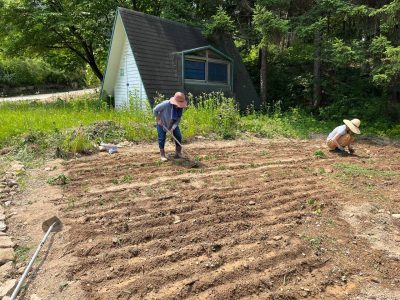지금 내 마음은 농부가 씨앗을 파종하는 기대되는 마음입니당
