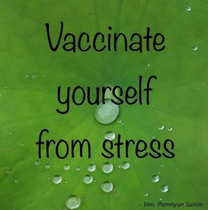 Doing practice is like vaccinating yourself from stress, Sunim said. :) 