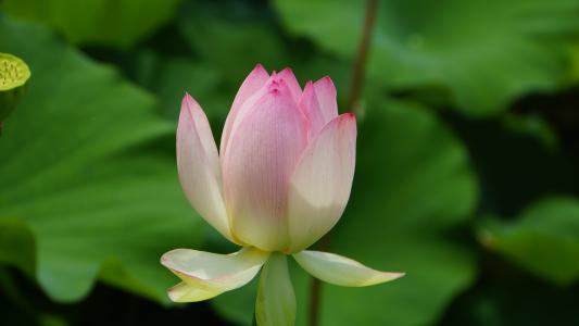 I feel peaceful because I'm not dragged by the situation that happened.