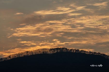 Just like dropping waters penetrates a rock, every day becomes a thousand days. Ven. Pomnyun Sunim said that everything was just practice until yesterday and today we start again as a brand new day. What a wonderful teaching. It inspires me and gives me new energy.