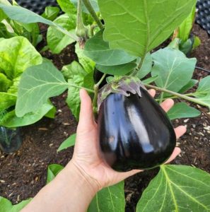 Ich fühle mich wie eine Gärtnerin ;)