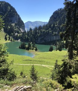 In der Natur fühle ich mich sehr wohl ^^