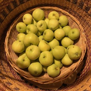 Ich fühle mich reich. August Äpfel, Ernte 2022.