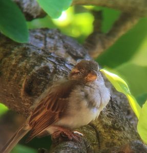 I still feel sleepy.