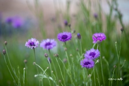 I feel tired and I need fresh air. ㅠㅠ