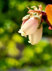 I was inspired by teachings of Venerable Pomnyun Sunim that it is not easy to overcome unfamiliar things because there is resistance in everything even if the task is easy and simple.