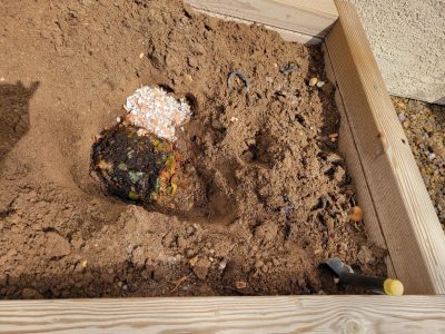 It rained last night, and the ground became moist. Every morning, a bunny rabbit stopped by my backyard and ate all the lettuce and tomatoes except the stems^^. One framed field I made exclusively for soil compost and pour some food scraps. I'm happy to be able to do something I've been putting off.