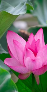 For peace at my workplace, I tried to accept and understand the view of my colleagues