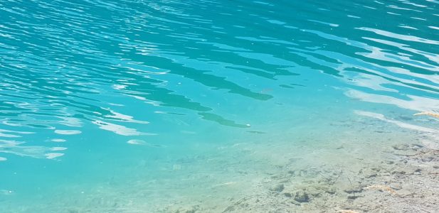  感悟抱怨父母是多么无知的事～ 现在的心很轻松