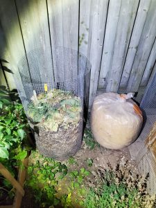 I'm making organic fertilizer from food waste and using it again for garden crops.