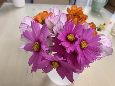 I feel so happy with the flowers that came from friend's back garden. I am really enjoying seeing flowers.