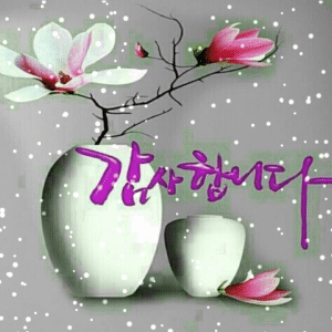 现在我的心很舒适。因为早晨起来就祈祷～给我自己时间，让我的心安住！一切都是我的一念起的苦。放下一念一切太平！