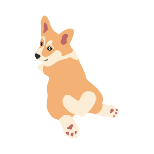  การเรียนรู้นั้นทำให้รู้สึกเพลิดเพลิน เป็นความรู้สึกขอบคุณ