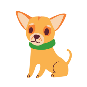  感恩父母，感谢老公～ 因为时间与祈祷时间矛盾而不舒服