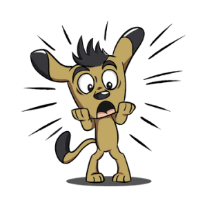 예정되지 않은 일로 , 아파트 단체를 위해 일해주시는 분들께 감사의 마음으로 작은 선물을 준비하기로 해서  또 내일 한시간 일찍 동대구로 출발하는 버스를 타니, 마음이 급해집니다 