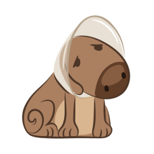 ฉันสำนึกผิดที่อารมณ์เสียในตอนเช้า ฉันรู้สึกเสียใจ