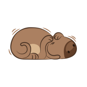 มันเกิดขึ้นเพราะความหมกมุ่นและความโง่เขลาของฉัน ตอนนี้ฉันรู้สึกเสียใจ