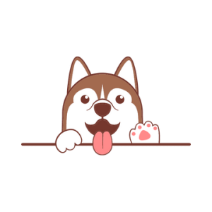   现在的心比较安稳！没什么大不了的事，都是自己的想法而已……