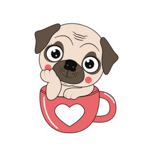 清晨祈祷后的心比较平静。昨天妈妈回大兴沟，心里觉得有些不开心，感觉妈妈只想到自己～这也是我的心引起的分别心