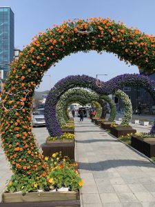 계속 연이은 회의로 금요일 저녁을 보내신 도반님께서, 내가 적은 글을 기억하시고, 기꺼이 또 시간 내주신 마음이 너무 감사하다, 꽃같은 그녀를 생각하면서 나도 길의 꽃들이 되고 싶다는 생각이 강하게 드는 순간이다