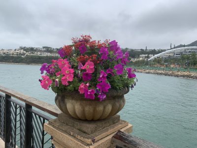 상대는 수행자로써 부처의 길로 가는 길일수 있는데,,,, 힘들지 않으면 좋겠다는  순수한 마음의 오지랍을 부려서 부꾸럽습니다, 더 깊게 들어가보면 내  지난   경험에 쌓인 부정적 업식이 도움이 안될수 있음을 늦게 나마 알아차립니다, 부처님법 만나 , 불법을 배우고 있어서 다행입니다, 감사한 마음입니다 