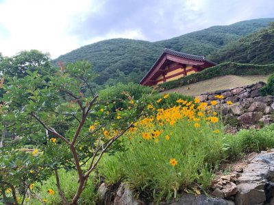 INEB 스터디 투어때 순간순간 행복함이 있었고, 다시 사진을 보니 잔잔하고 아름다운 시간들이 더 많았음을 깨닫게 됩니다,