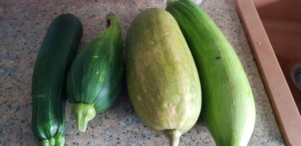 Die Formen mögen unterschiedlich sein, aber sie sind alle dasselbe Zucchini. Wenn ich weiß, dass sie nur anders aussehen, fühle ich mich leichter.
