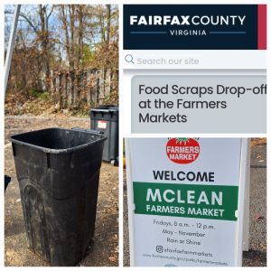 I took my food wastes to a local food scraps drop-off provided by the county at farmers market locations.