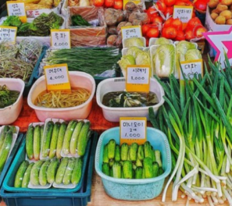나는 탄소발자국을 생각하고, 불필요한 일회용 포장용기, 포장지 등을 피하기 위해 인터넷 배송 대신 장바구니를 들고 집에서 가까운 야채가게에서 장을 봤습니다.