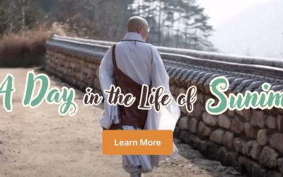 A Day in the Life of Sunim